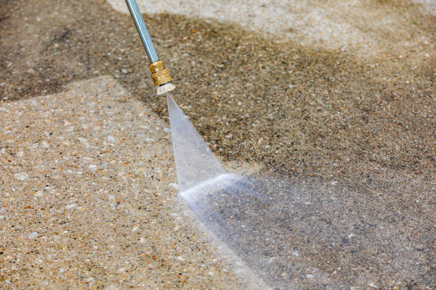 Animal Enclosure Cleaning in Kemp Mill, MD
