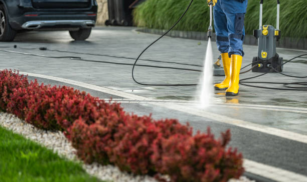 Best Driveway Pressure Washing  in Kemp Mill, MD